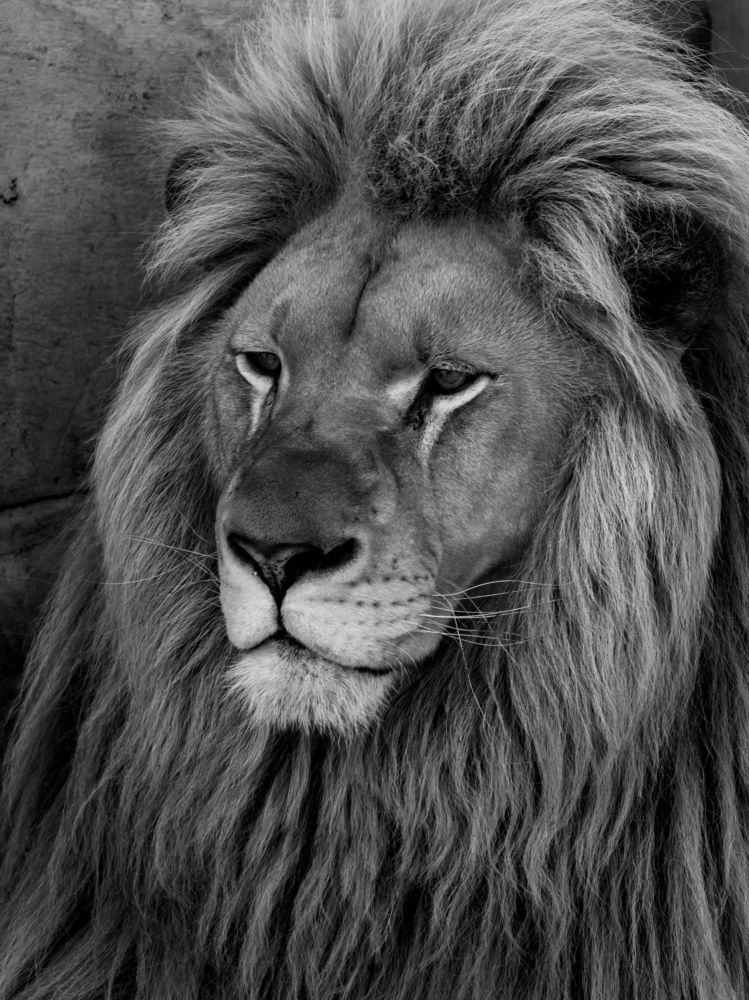 Photograph by Алексей Крукович