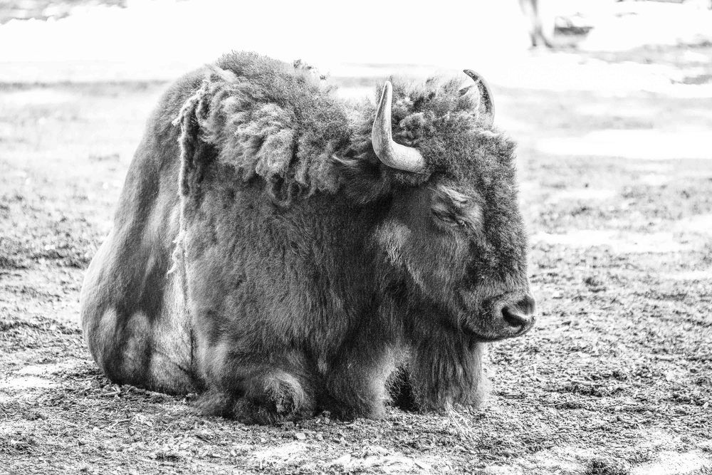 Фотография автора Владимир Брызгунов