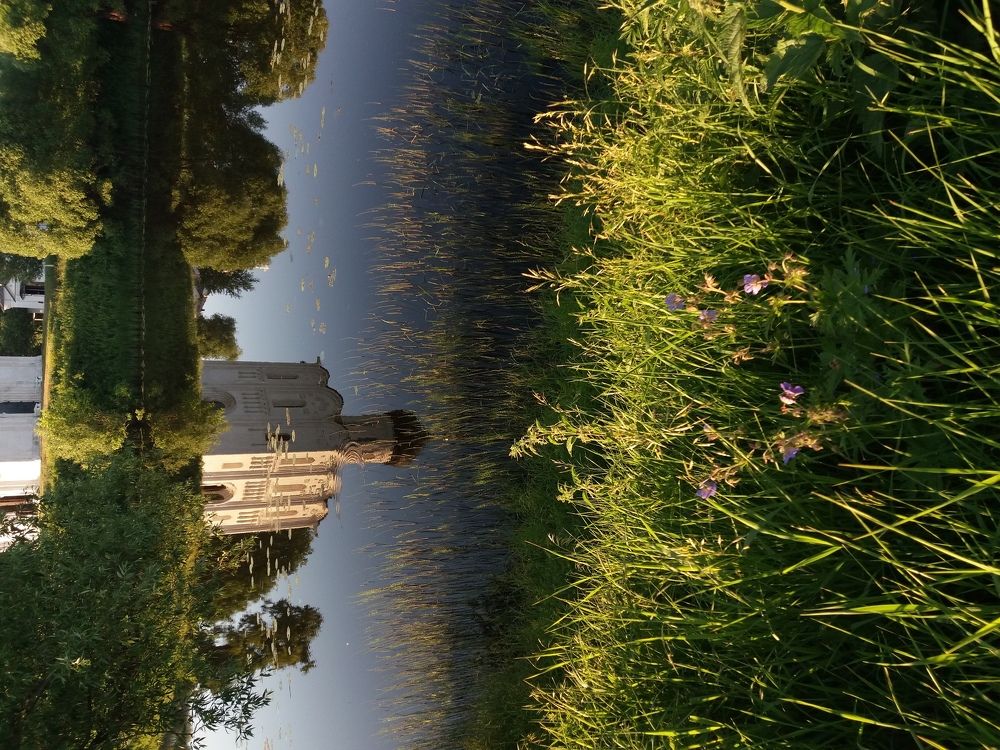 Цветы у храма.