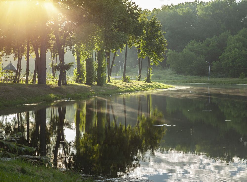 Photograph by Алексей Головнёв