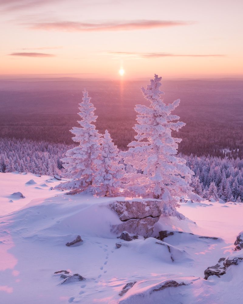 Фотография автора Алексей Проняхин