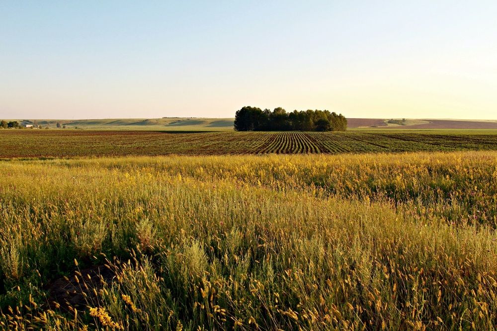 Photograph by Виктор Коршунов