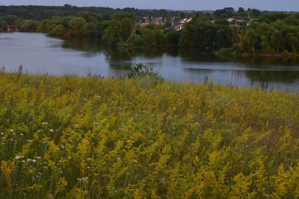 Photograph by Лариса Стрекулева