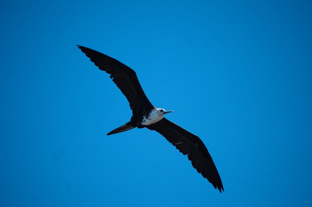 Photograph by Juan Carlos Pascual López