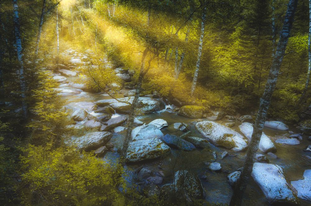 Photograph by Рымаров Александр