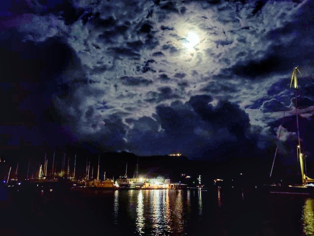 Photograph by Dayli Gonzalez