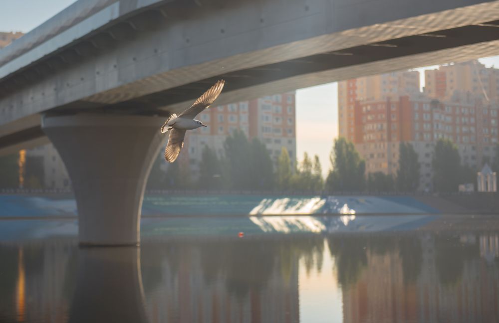 Photograph by Adil Kuandykov