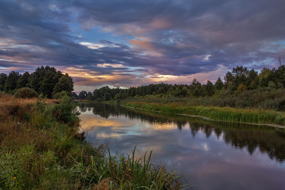 Photograph by Larisa Shuglya