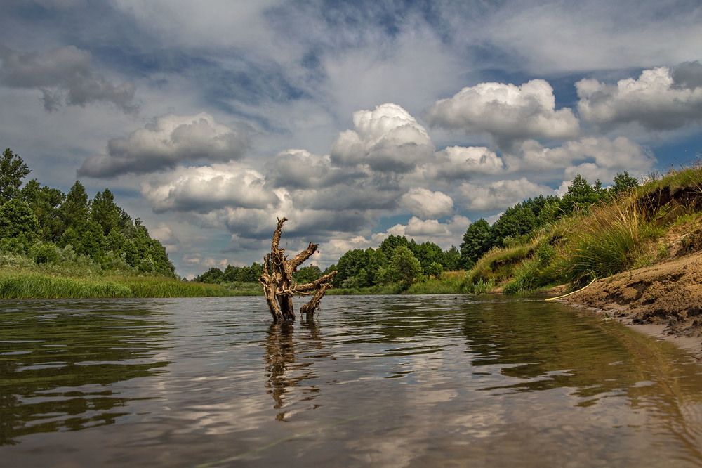 Photograph by Larisa Shuglya