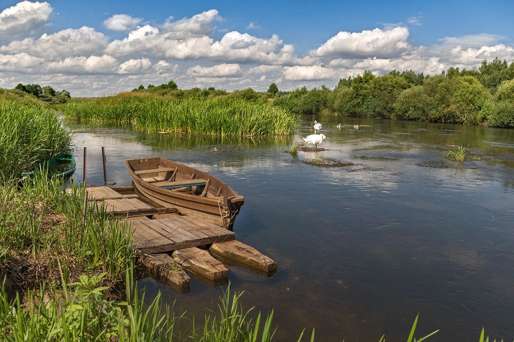 Photograph by Larisa Shuglya