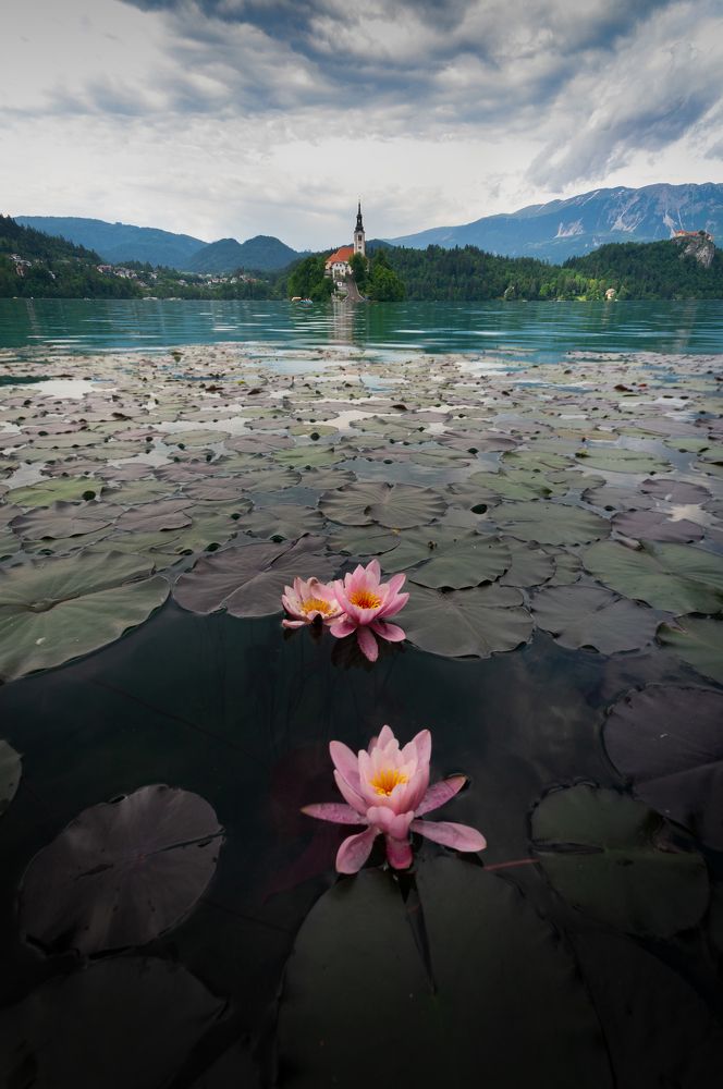 Photograph by Fahrudin Seferagić