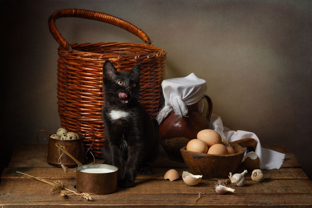 Photograph by fashionfoodfoto