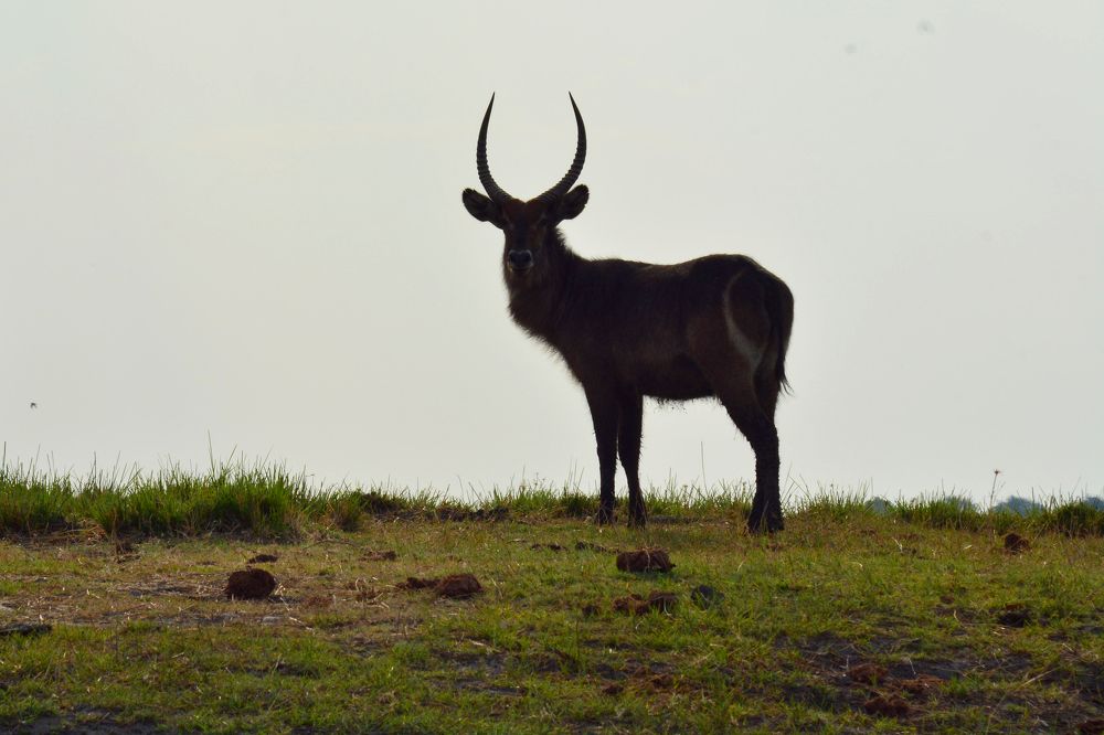 Photograph by Анатолий Орлов