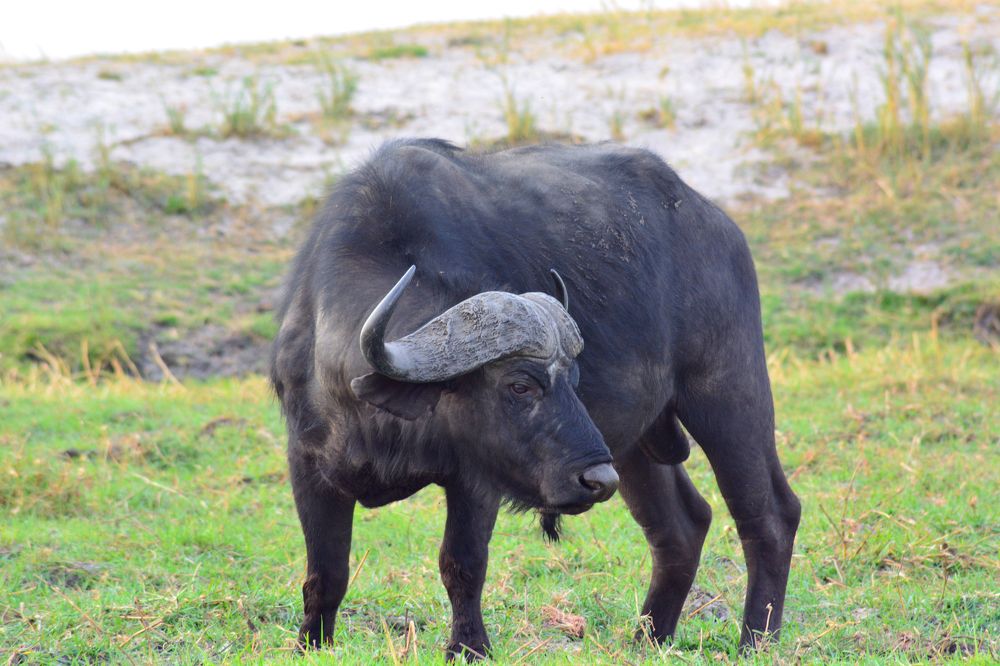 Photograph by Анатолий Орлов