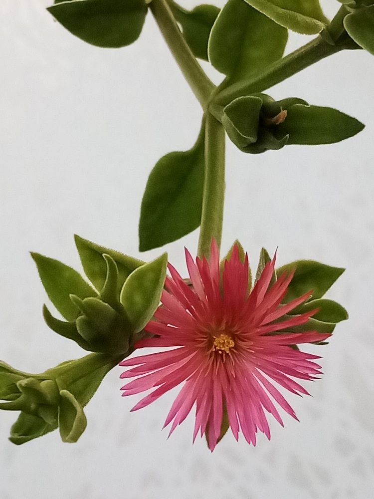 Photograph by Венера Галимова