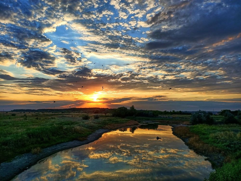 Photo #6278546