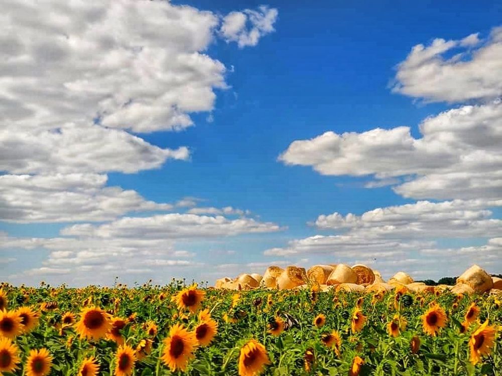 Photograph by Елена Герасименко
