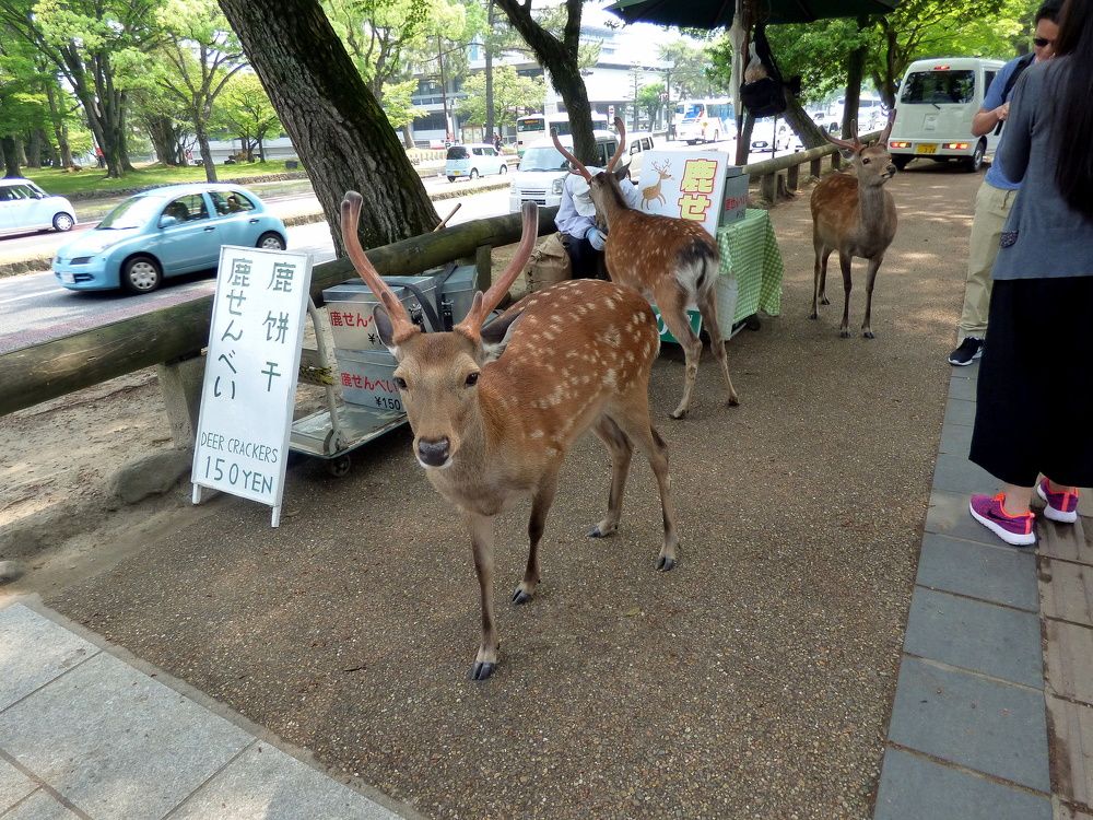 Photograph by Pjotr Alekseev