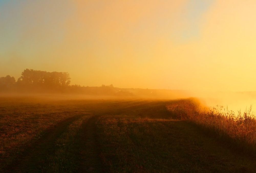 Photograph by Наталия Никитинская