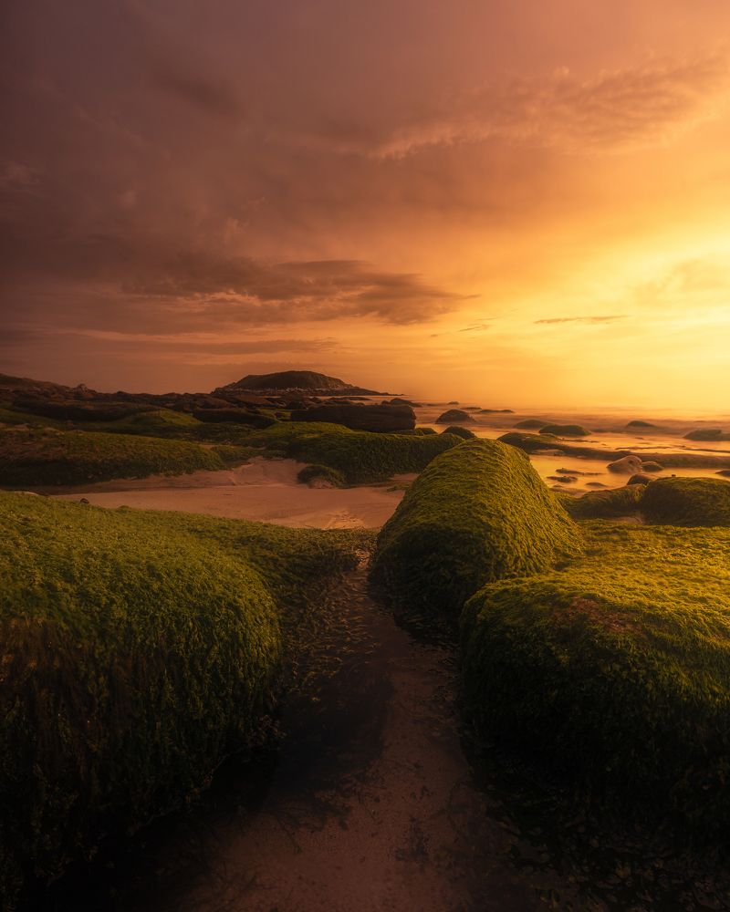 Photograph by Drew Korme