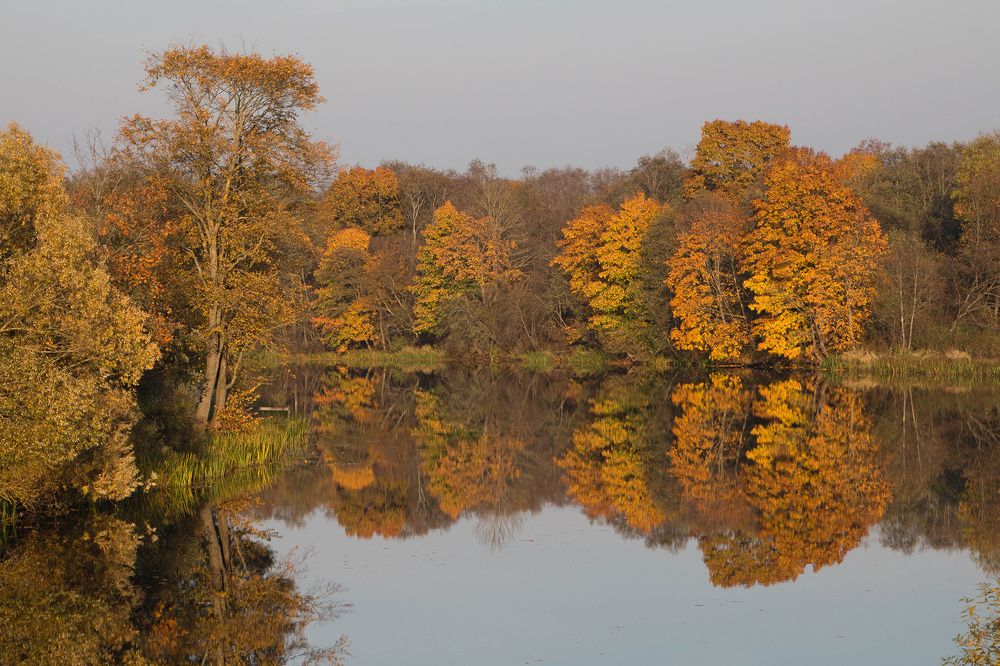 Photograph by Guntars