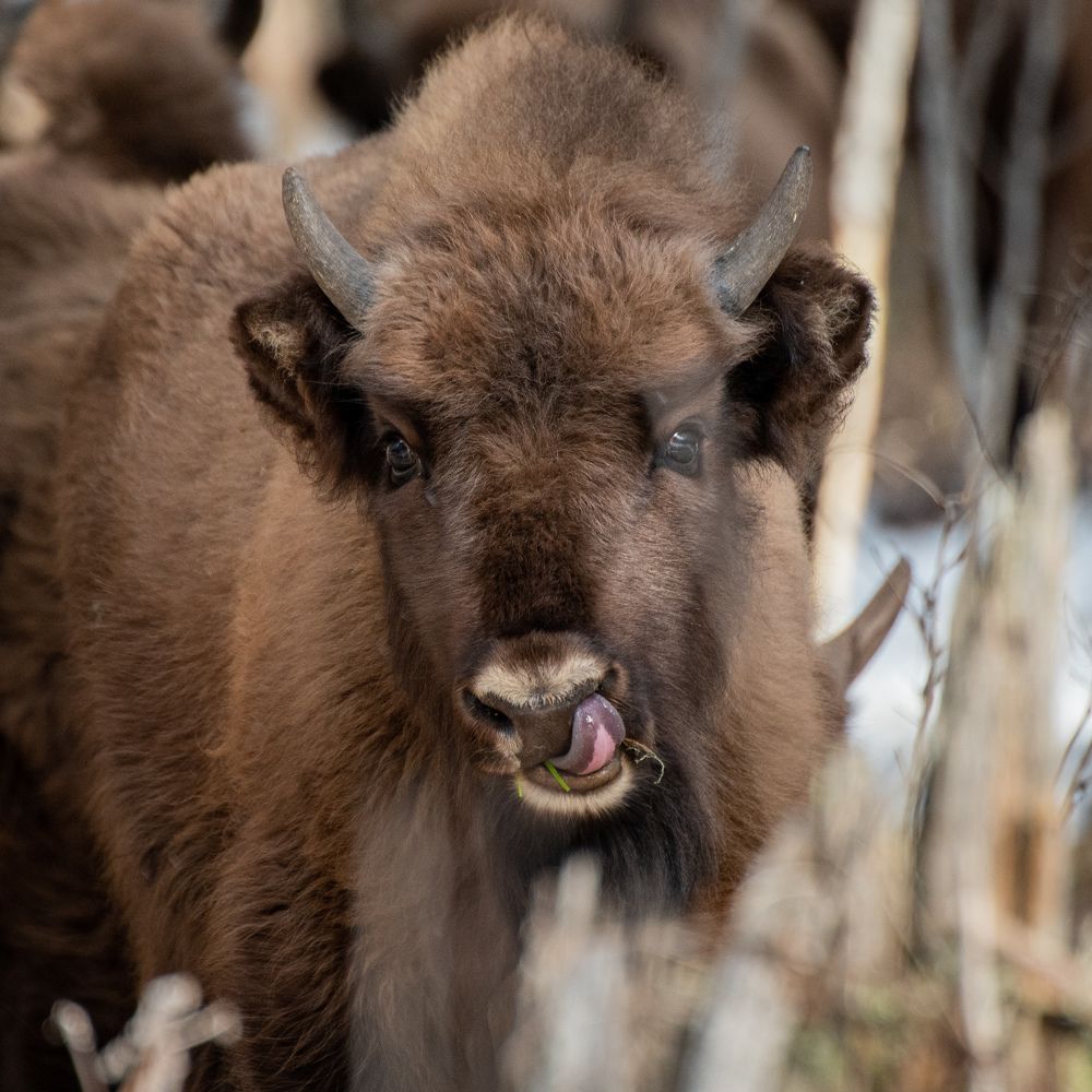 Photograph by ЕВГЕНИЙ РУДЕНКО