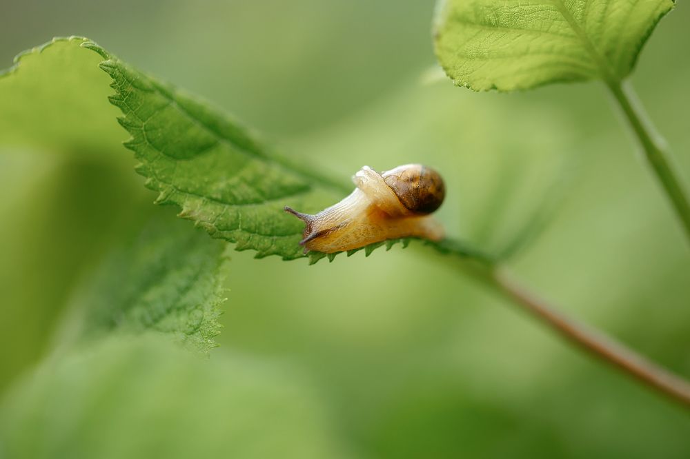 Photograph by Анастасия Петрова