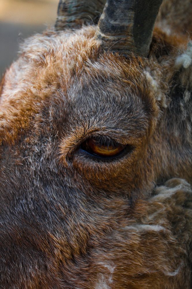 Photograph by Andrea Tijanic