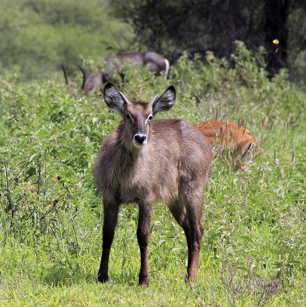 Photograph by Олег Банковский