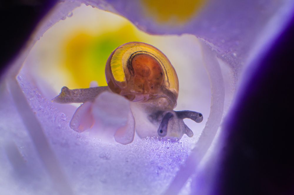 Photograph by Pramod Naween Padmananda