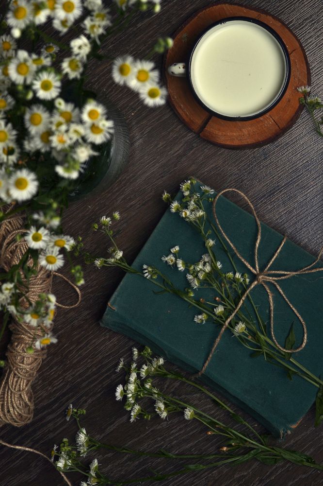 Photograph by Анна Милёшина