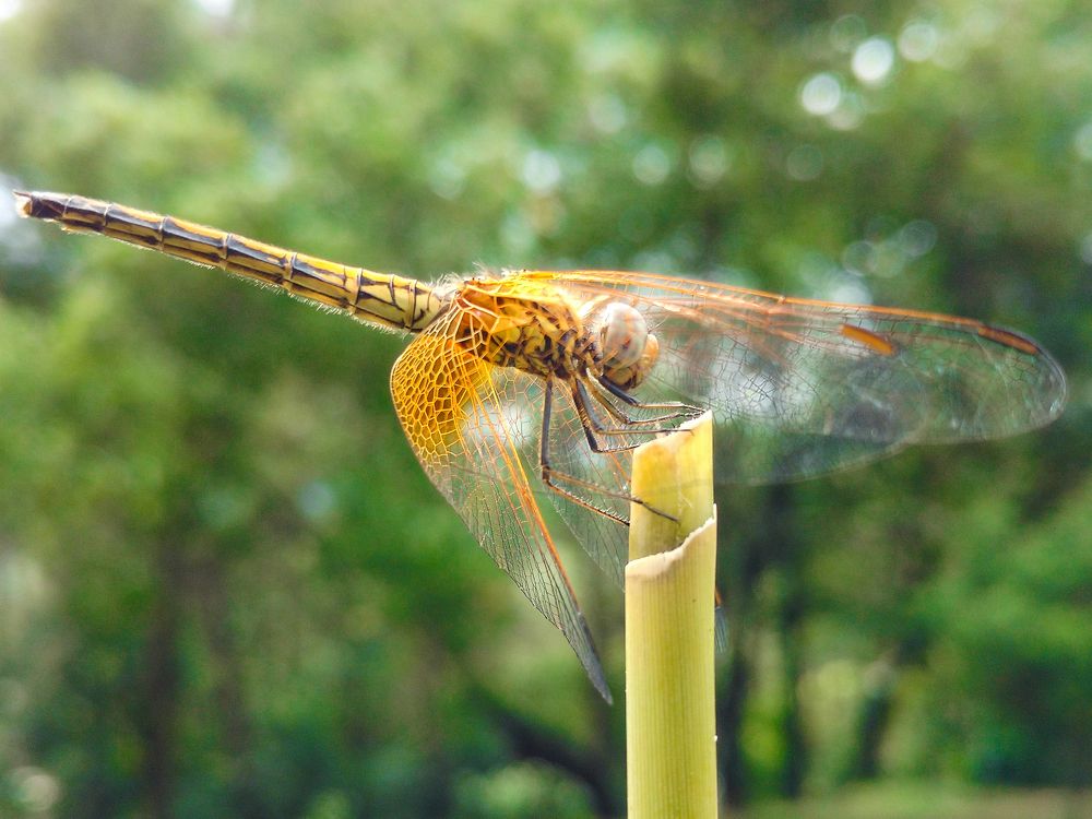 STRONG AND DISCIPLINED