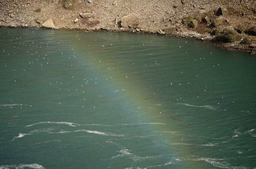 Photograph by Liliana Grup