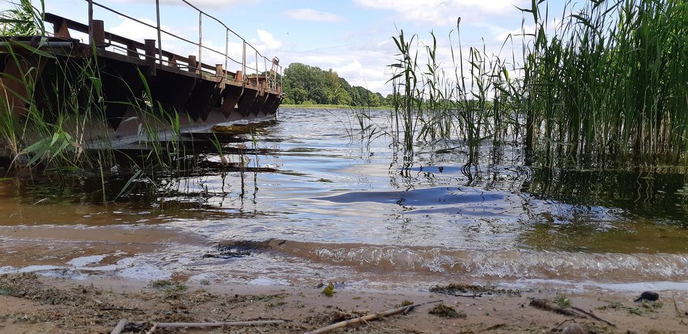 Фотография автора Александра Карпикова