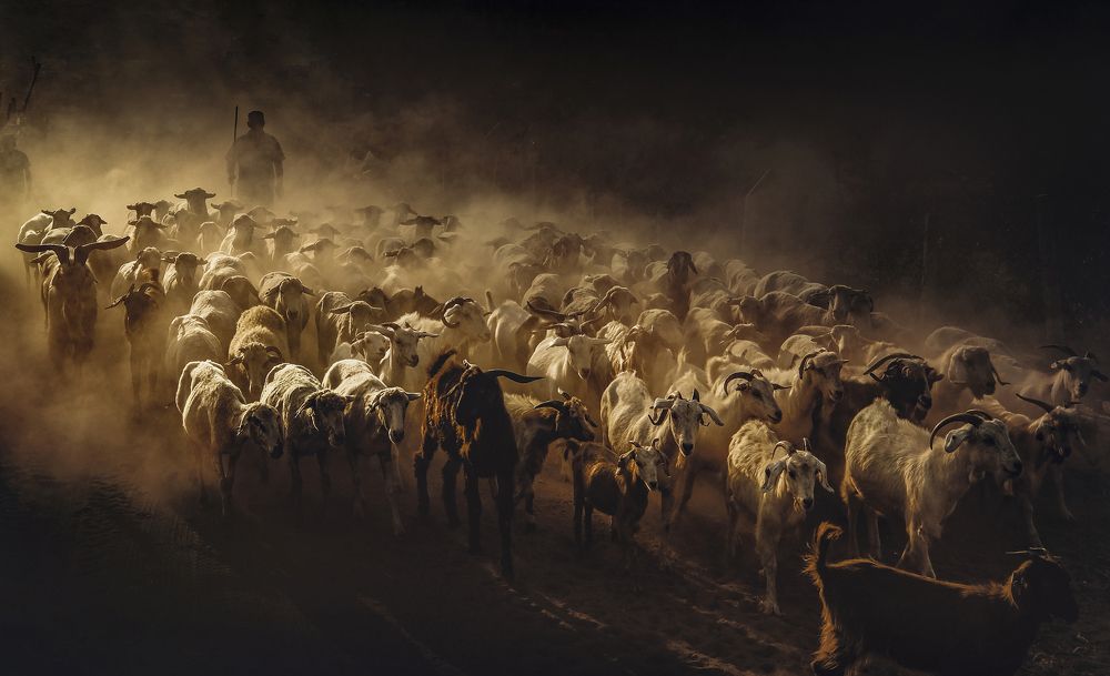 Photograph by Abdurrahman Altıntaş