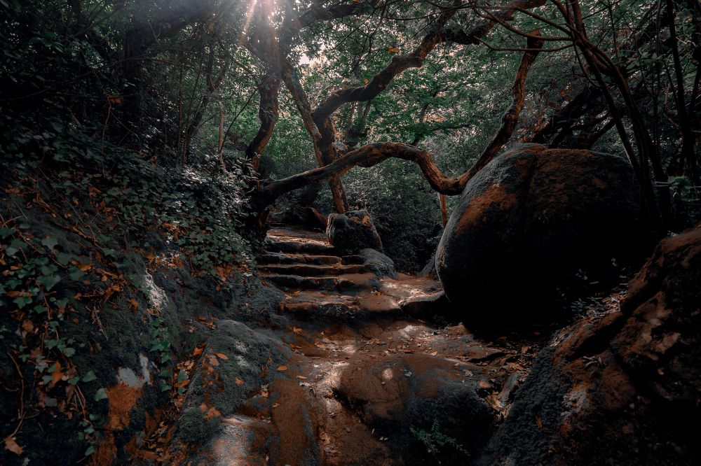 Photograph by Роман Павлов