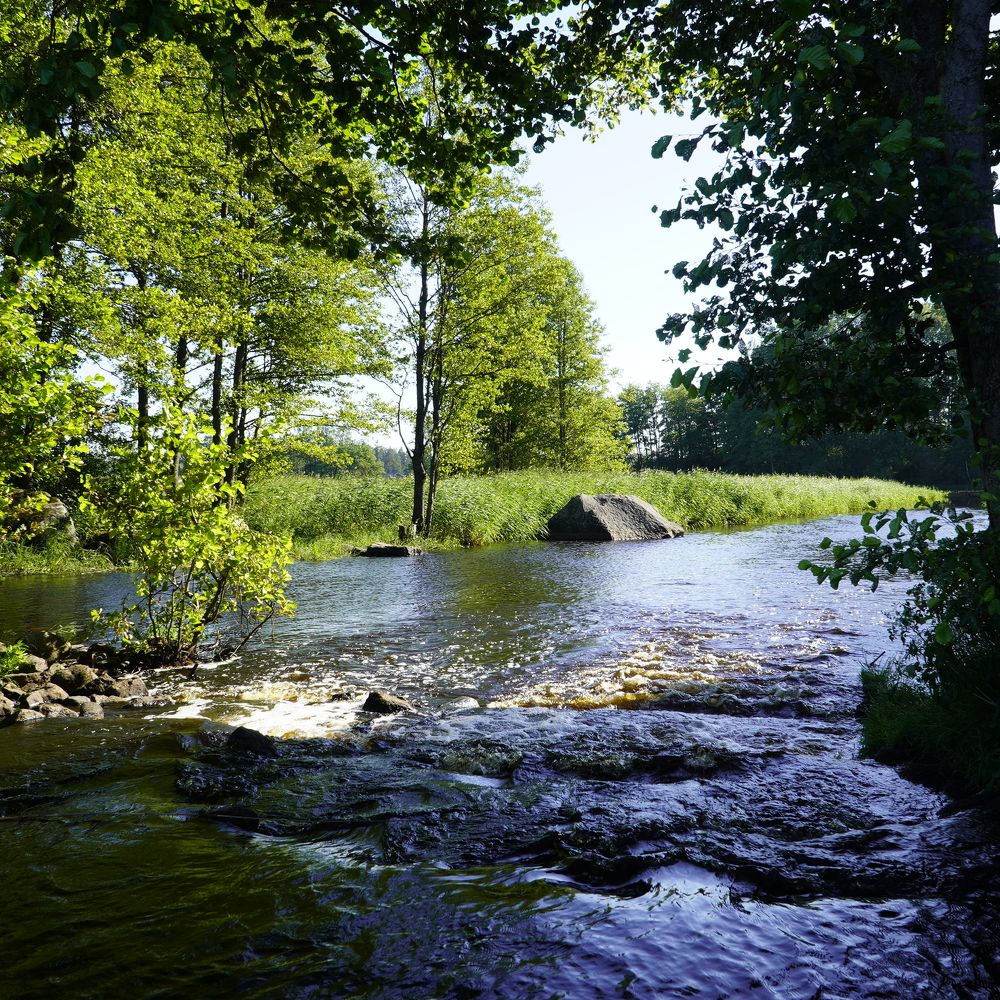 Photograph by Марина Безенкина