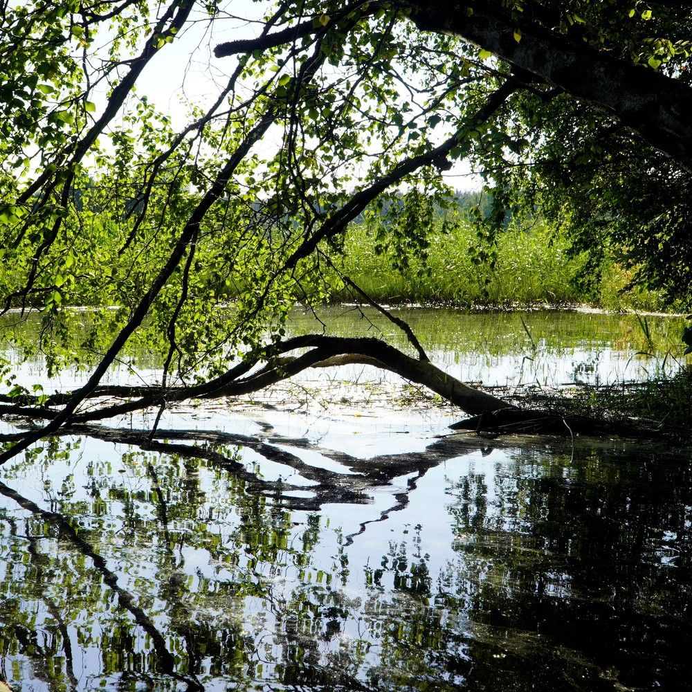 Photograph by Марина Безенкина