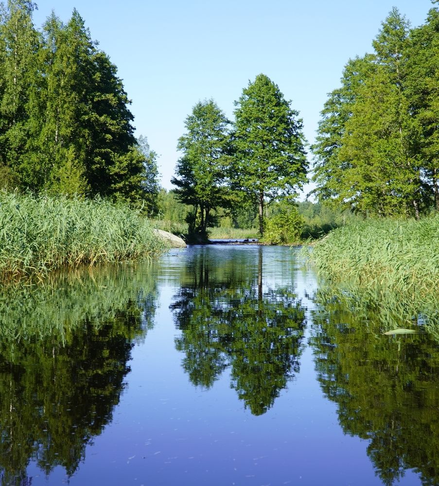 Photograph by Марина Безенкина