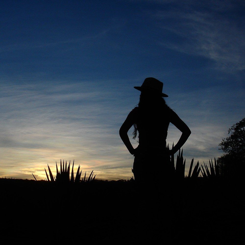 Photograph by Andrea Alcalá