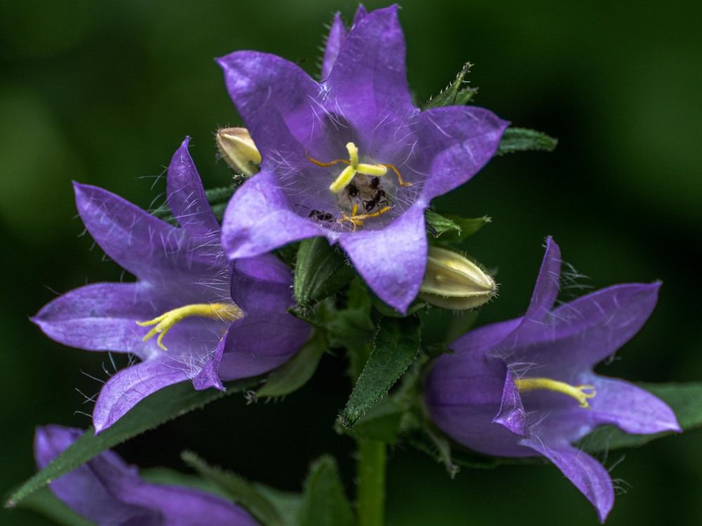 Photograph by mikhail goryachev