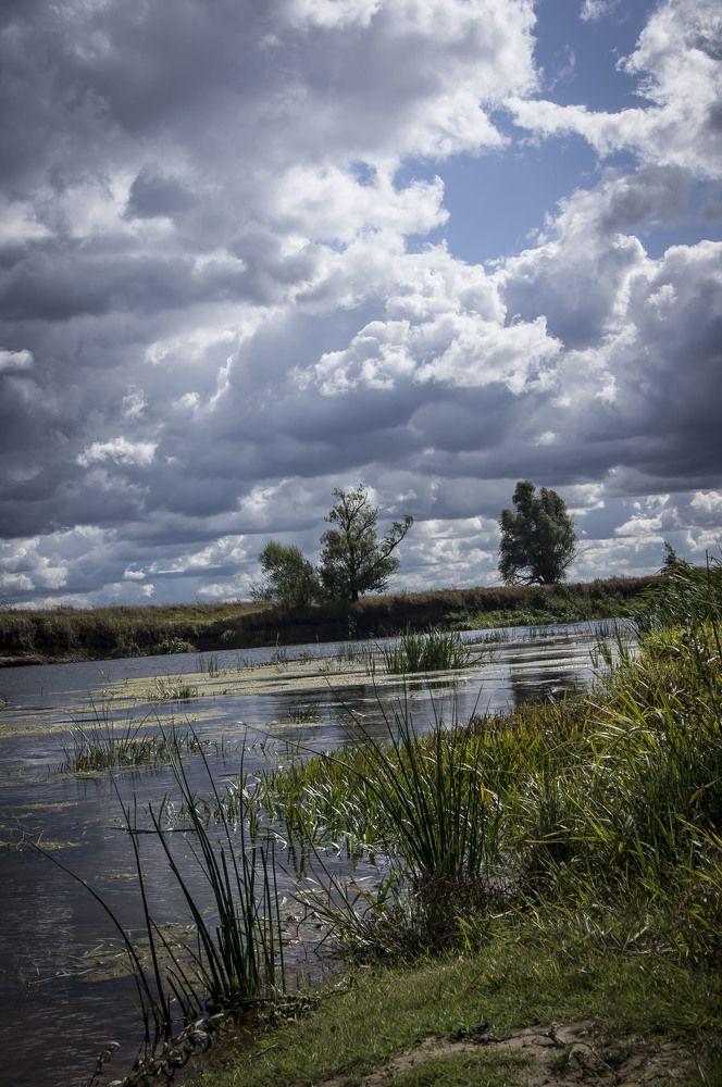 Photograph by Александр Натальин