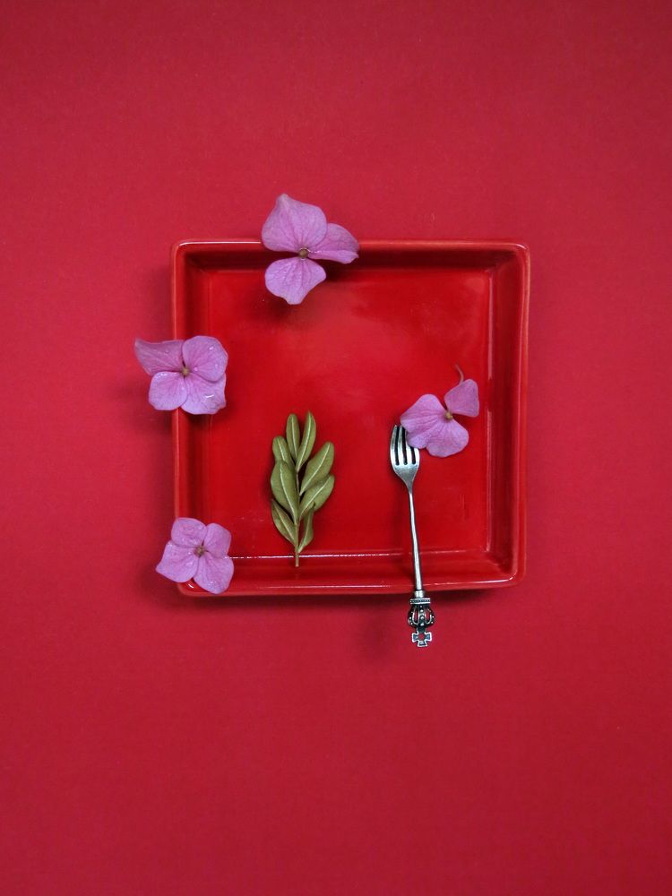 Фотография автора Елена Лысенко