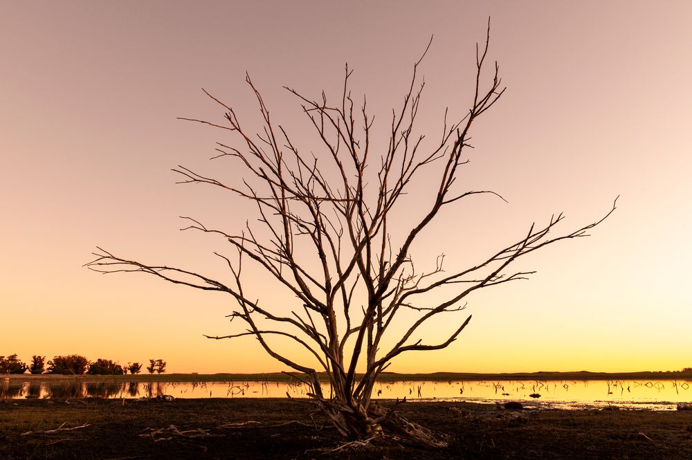 Photograph by Lucia Ana Juárez