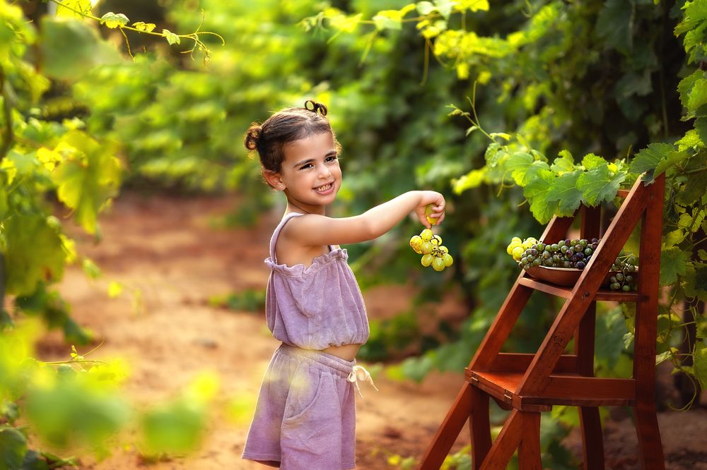 Photograph by Etili Hollander