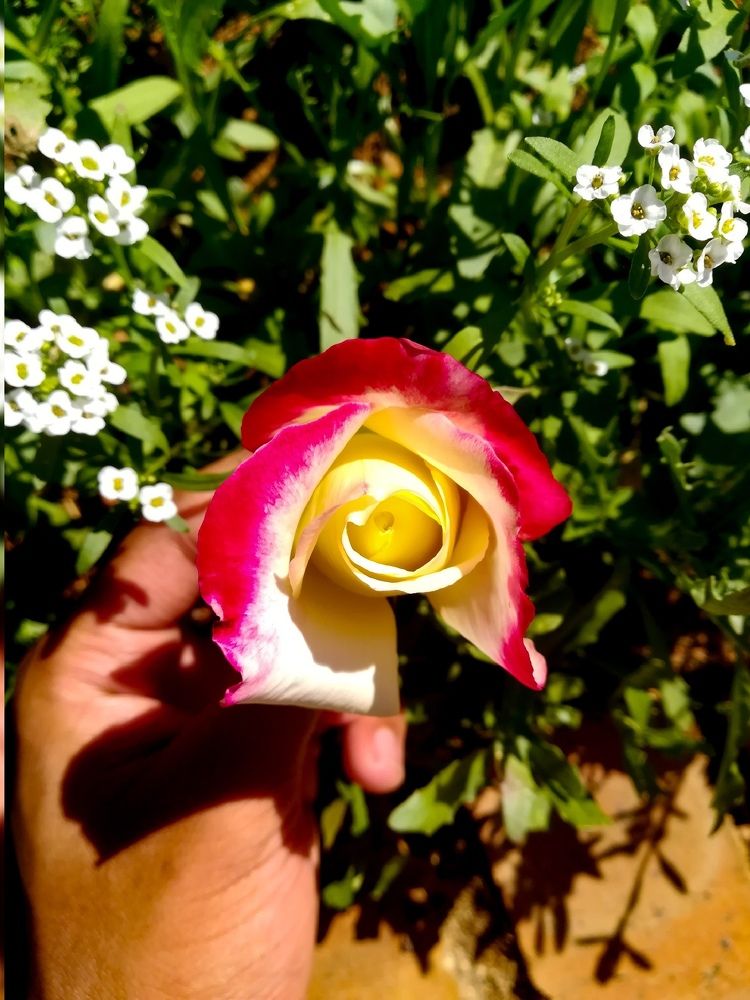 Photograph by Salmaan dada