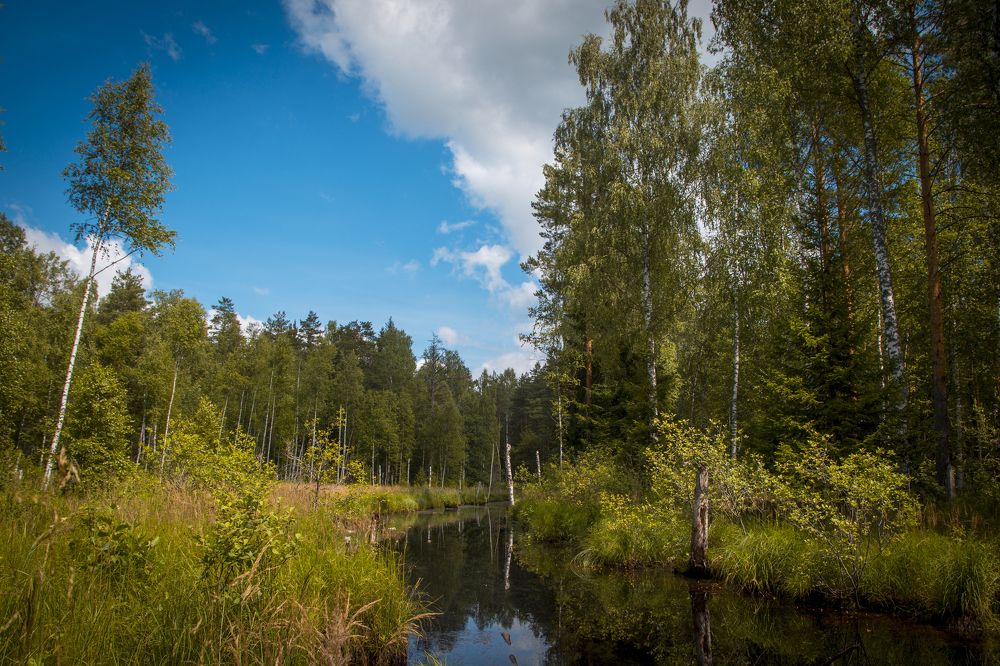 Photograph by Андрей Почечуй