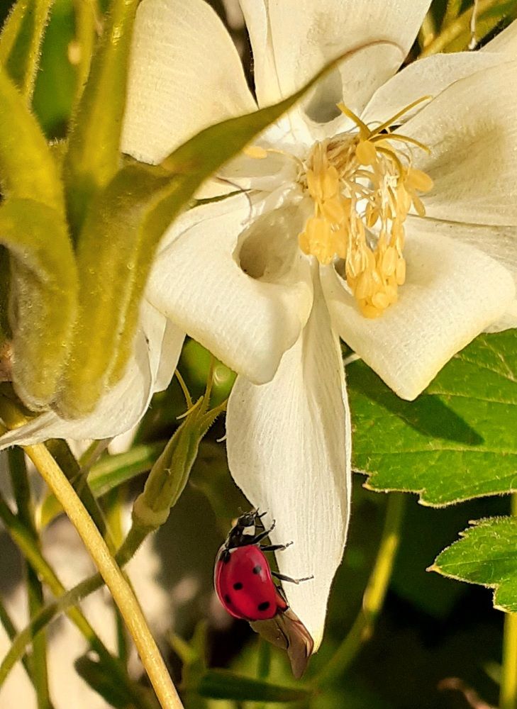 Photograph by Алсу Гиматова