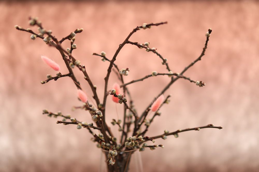 Photograph by Наталья Левашова