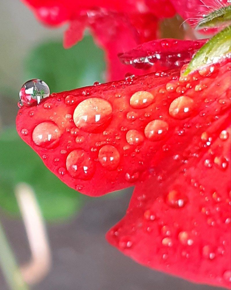 Photograph by Алсу Гиматова